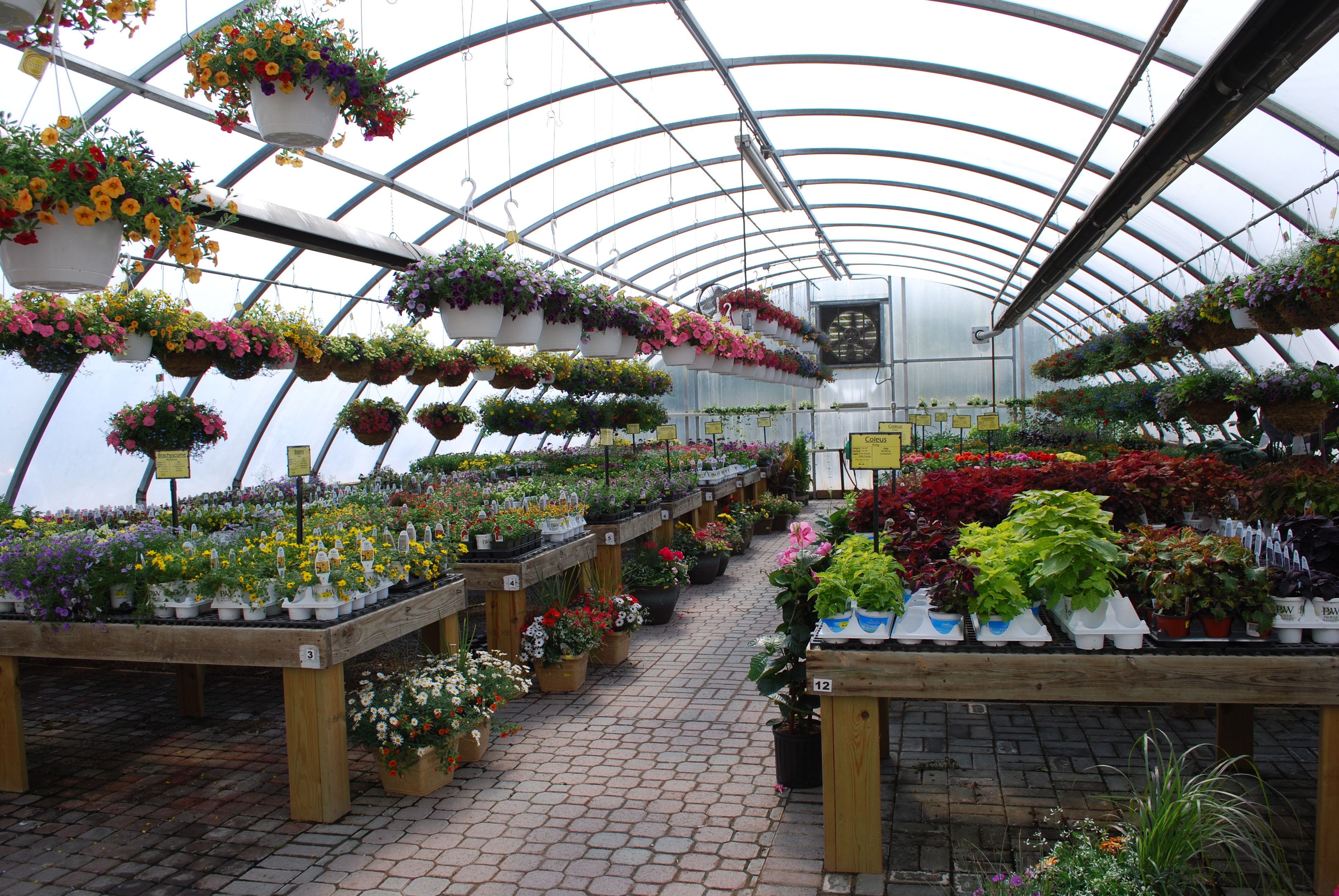 Gallery Palo, IA Cedar River Garden Center