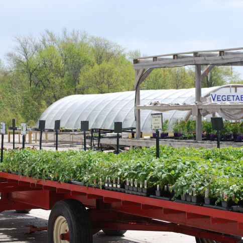 garden center palo ia